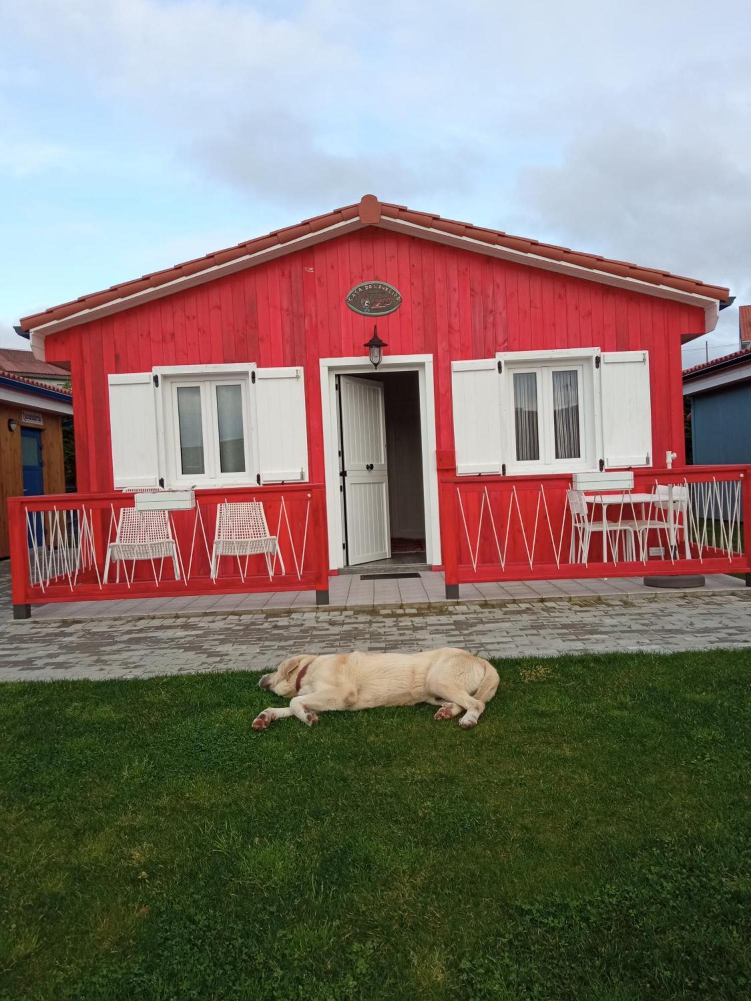 Cabanas De Vendaval Malpica Eksteriør bilde